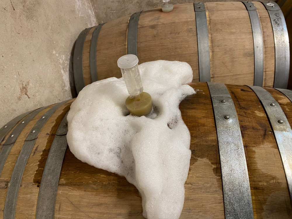 Mas Courbet - La Bière de Provence
